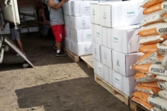 servicio-26
